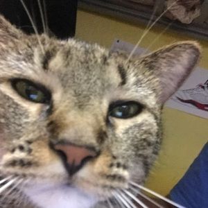 Meet your Posher, Evelyn